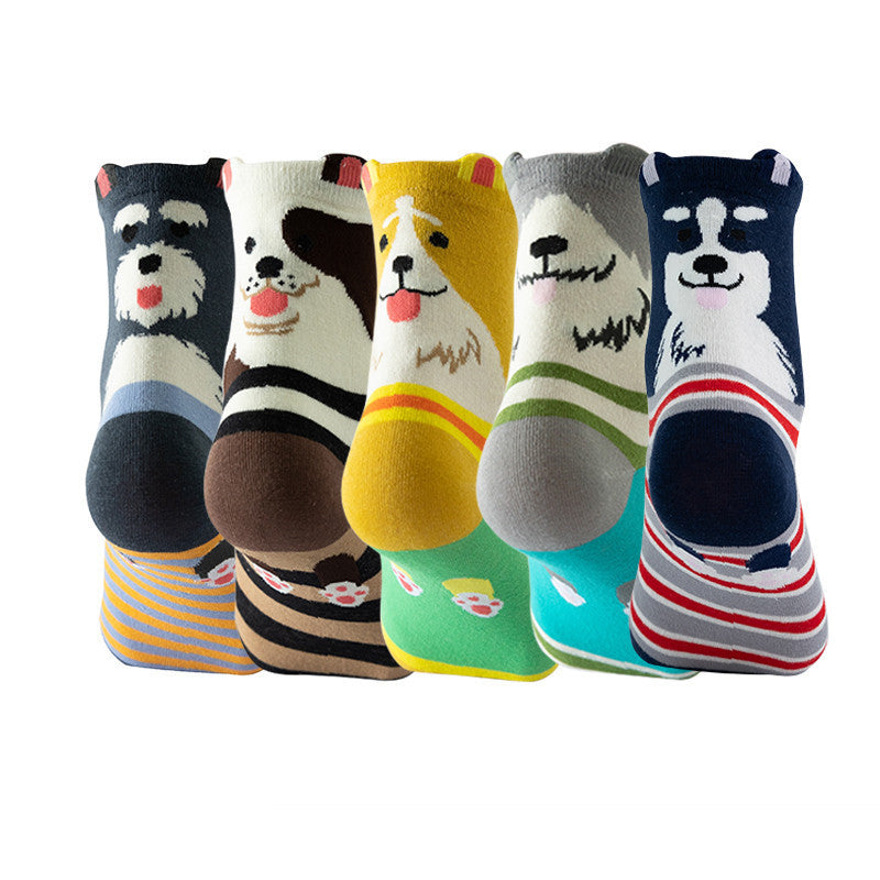 5 pares de calcetines divertidos