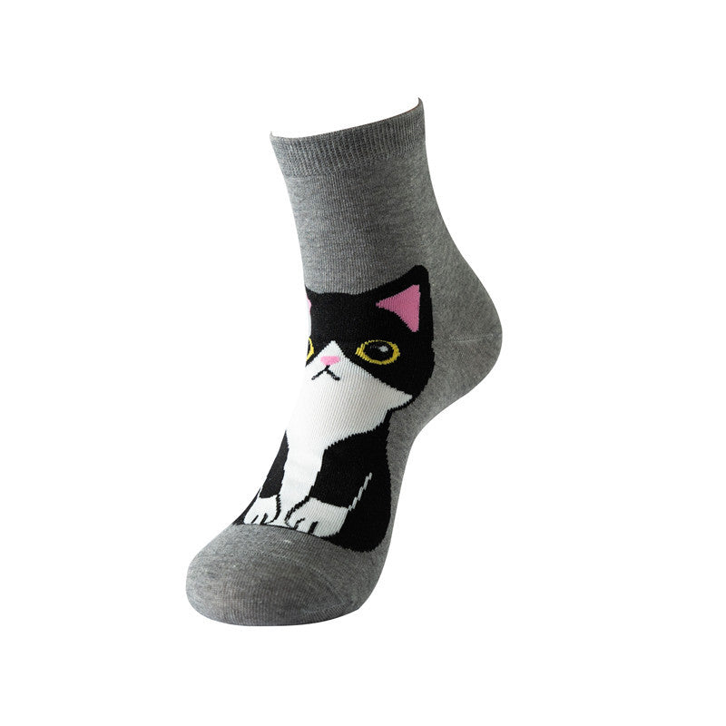5 pares de calcetines divertidos