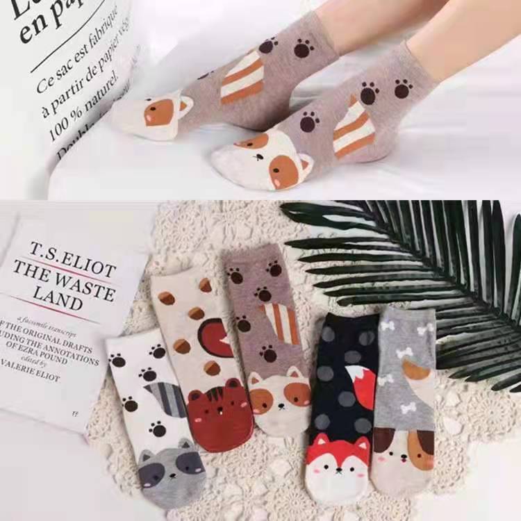 5 pares de calcetines divertidos