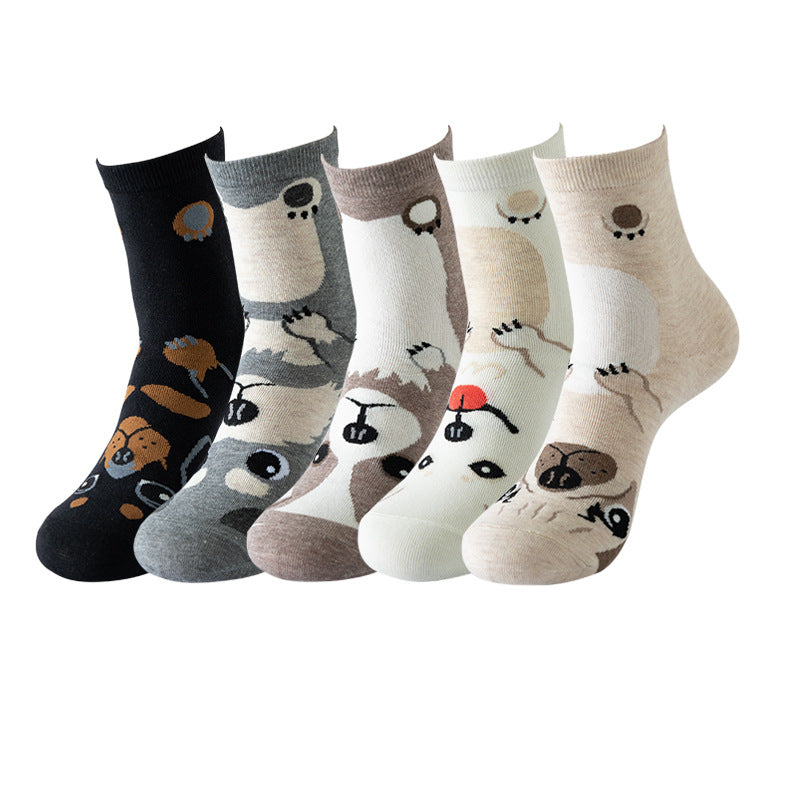 5 pares de calcetines divertidos