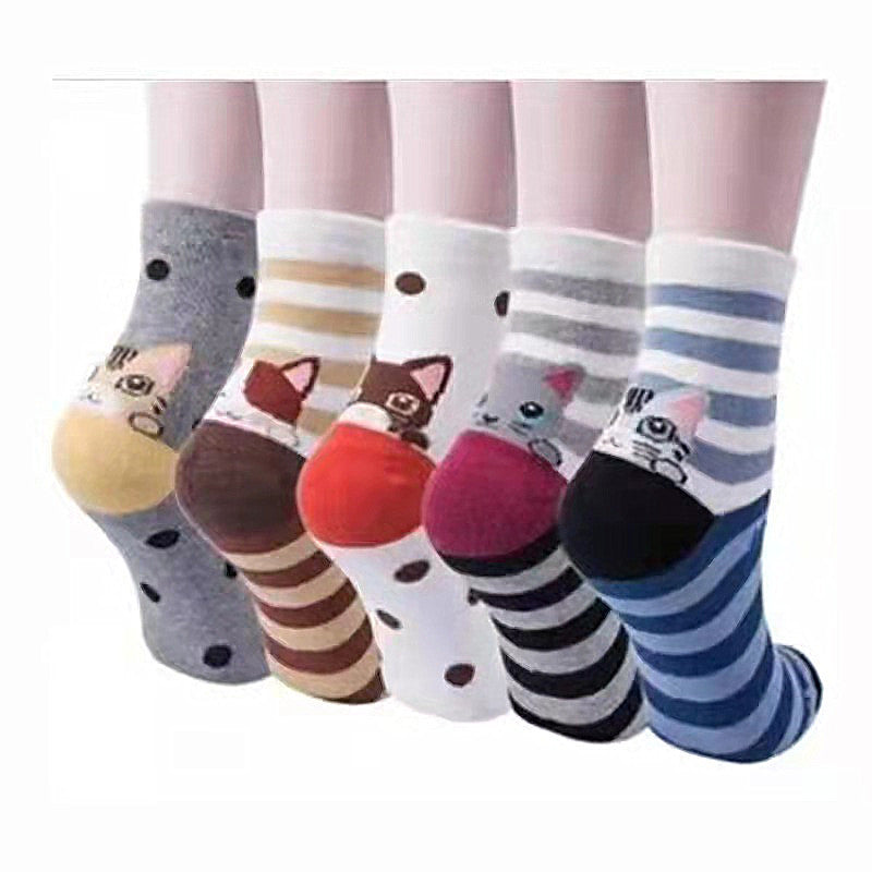 5 pares de calcetines divertidos