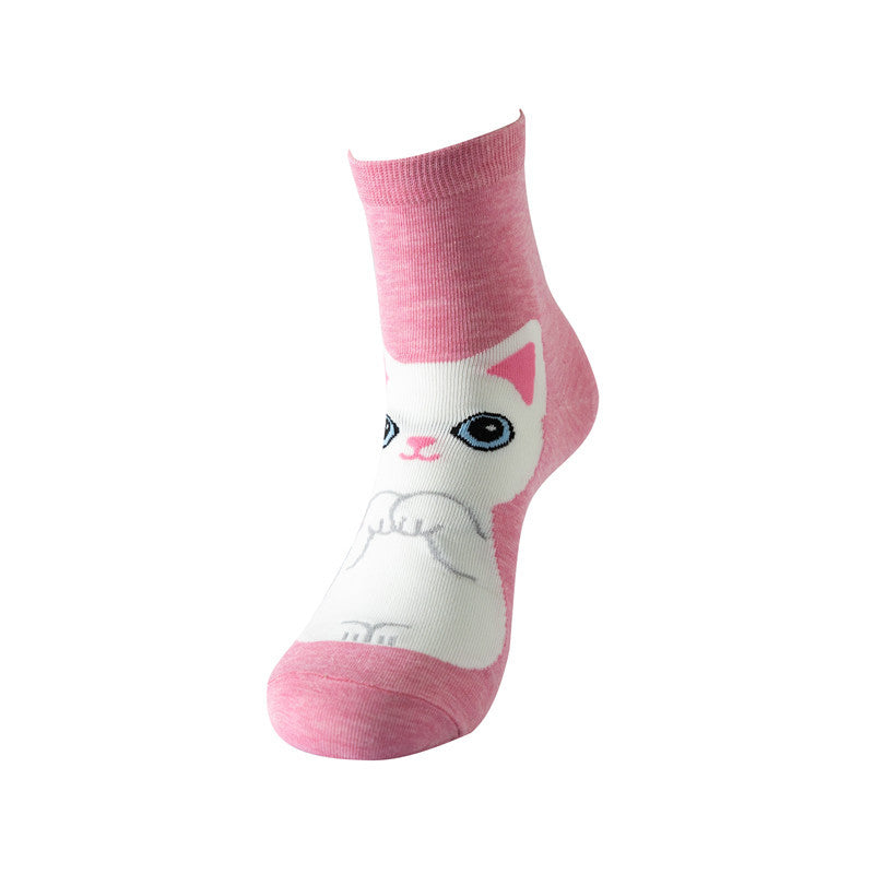 5 pares de calcetines divertidos