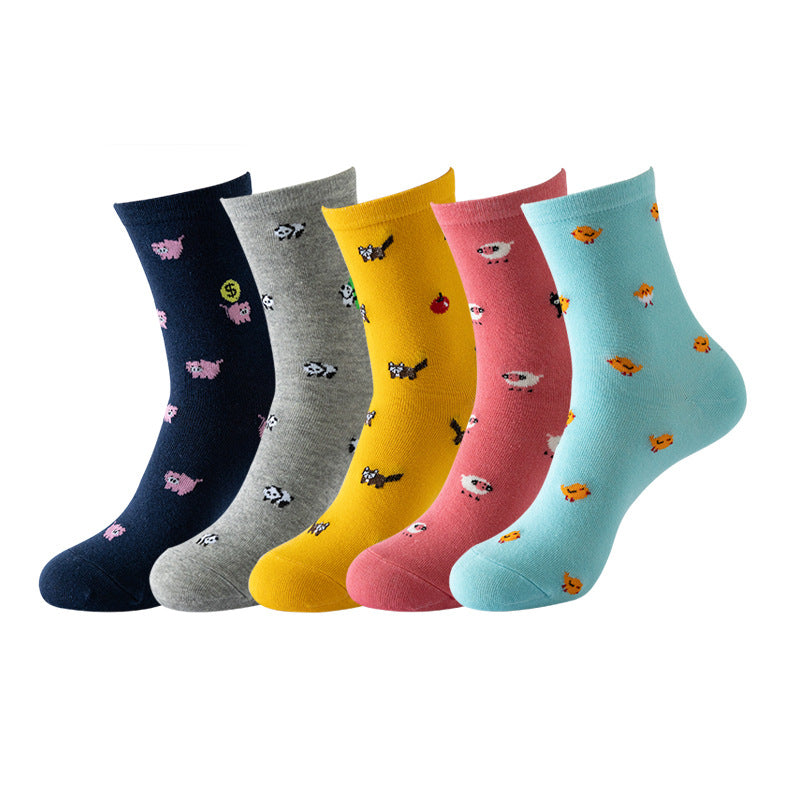 5 pares de calcetines divertidos