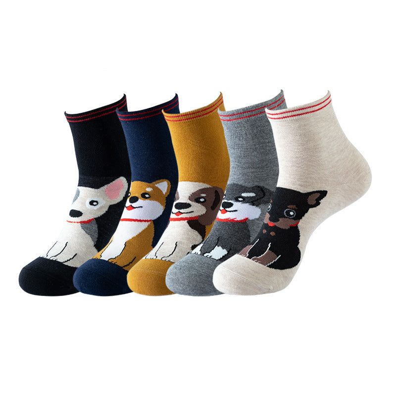 5 pares de calcetines divertidos